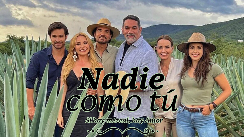 Nadie Como Tu Capitulo 101 Completo En HD